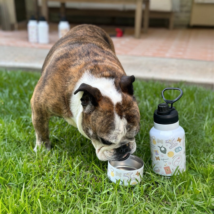 Dog Items 320z Dog Water Tumbler with 10oz Dog bowl attached with Straw