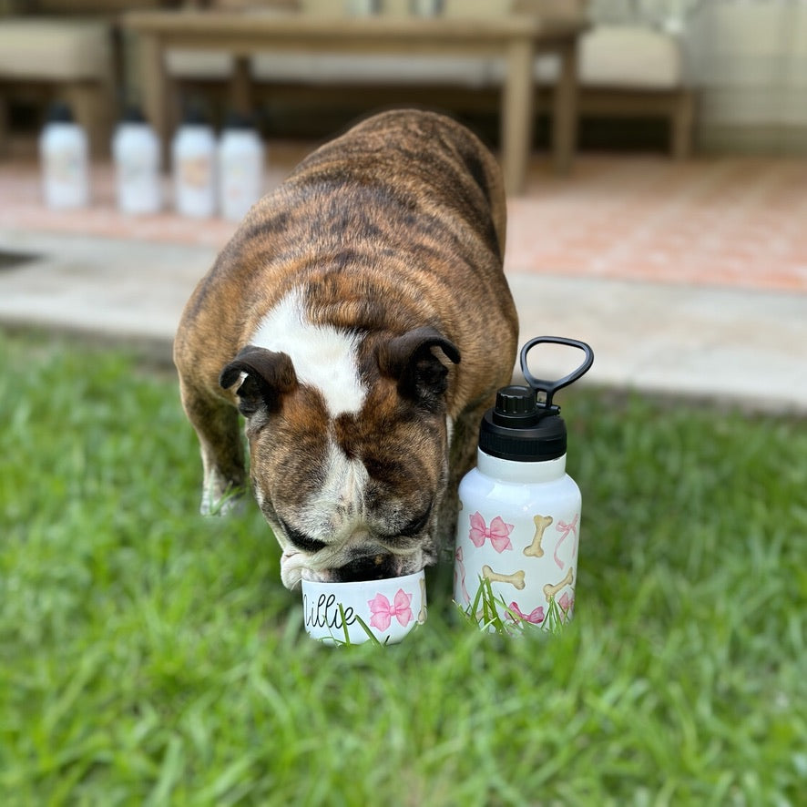 Bones and Bowls 320z Dog Water Tumbler with 10oz Dog bowl attached with Straw