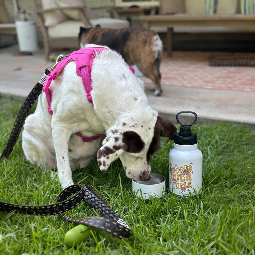 Doggos Over People 320z Dog Water Tumbler with 10oz Dog bowl attached with Straw