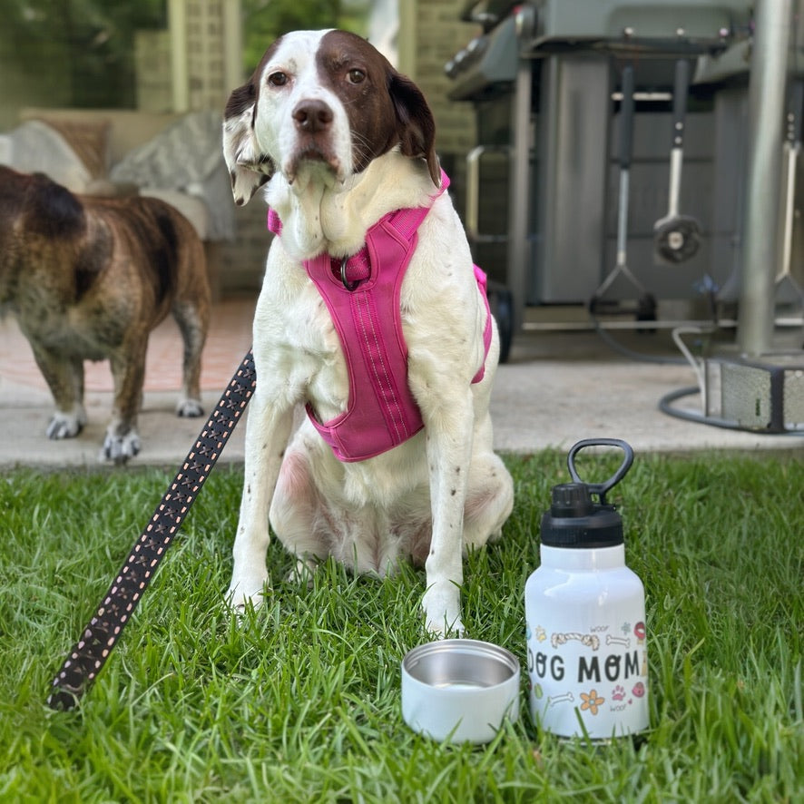 Dog Mom 320z Dog Water Tumbler with 10oz Dog bowl attached with Straw